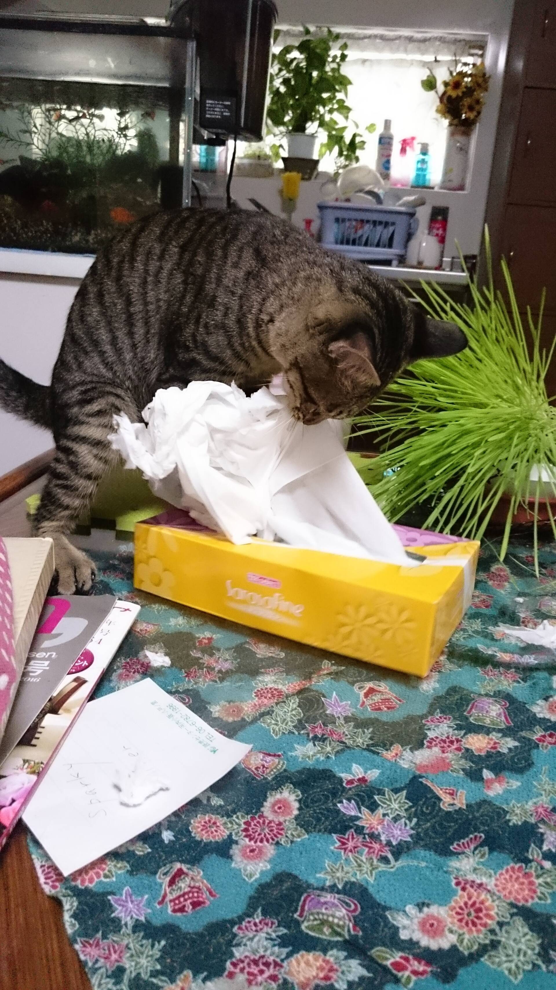 ブログ